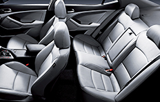 Kia Optima Interior Seat Gray (two-tone)